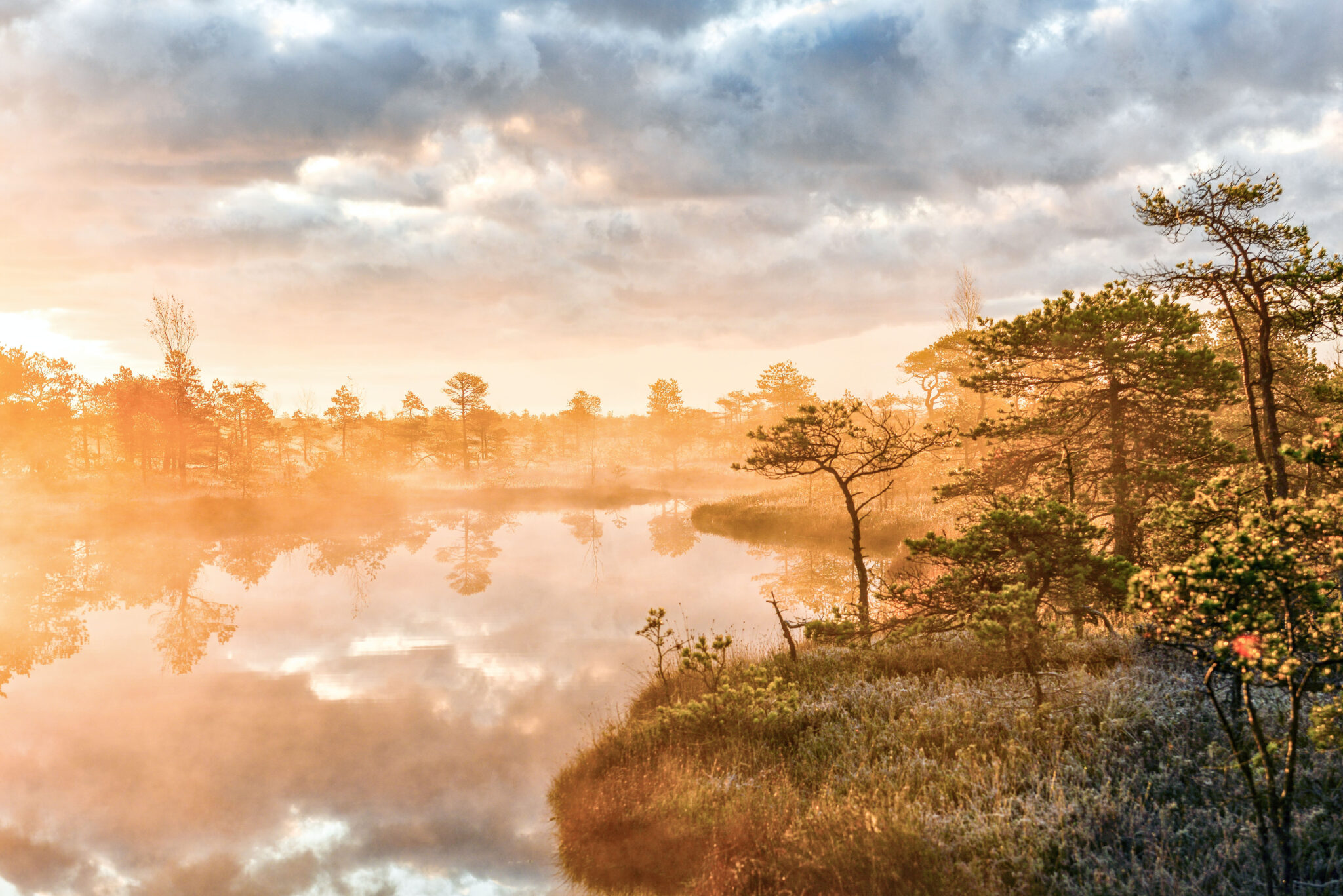 A Seasonal Guide to Latvia: Beautiful view of the National Park of Kemeri, Jurmala, Latvia.