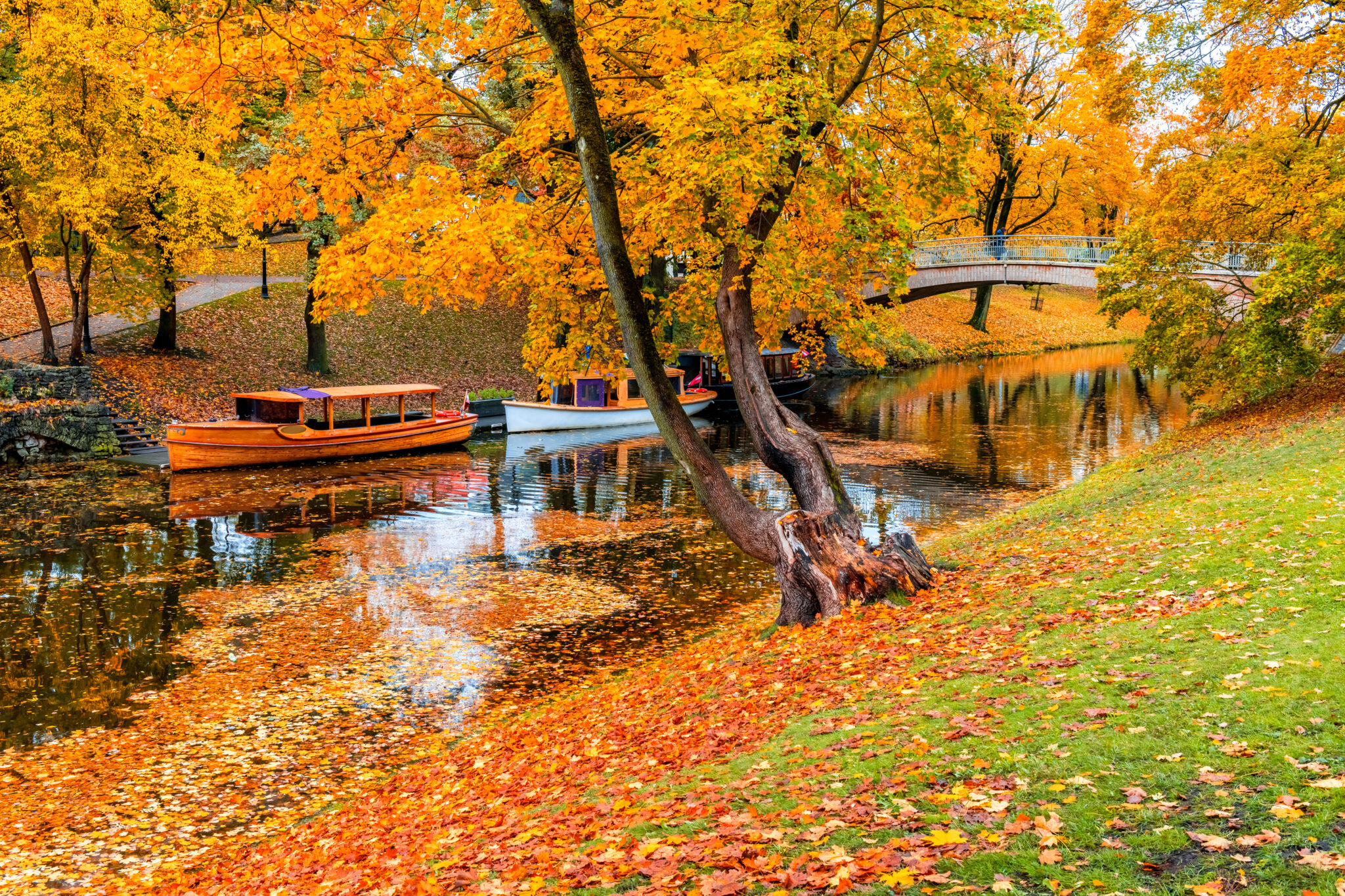 Autumn in Latvia, Riga